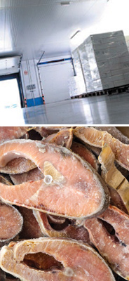 Detalle Equipos de refrigeración industrial compactos Túnel de Congelación